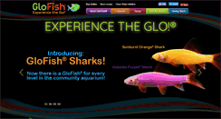 Desktop Screenshot of glofish.com