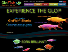 Tablet Screenshot of glofish.com